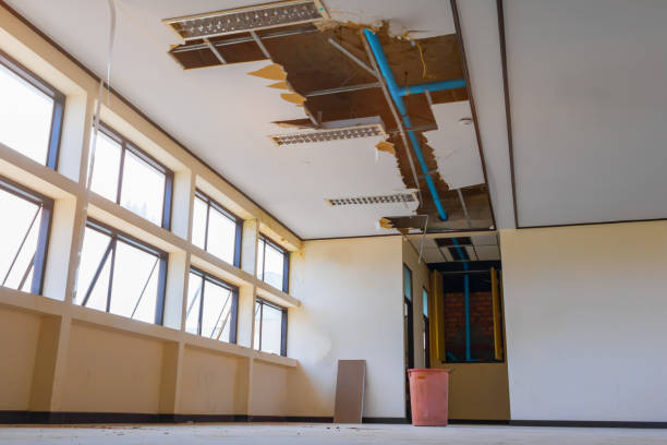 Best Sewage cleanup and water damage restoration  in South Amherst, OH