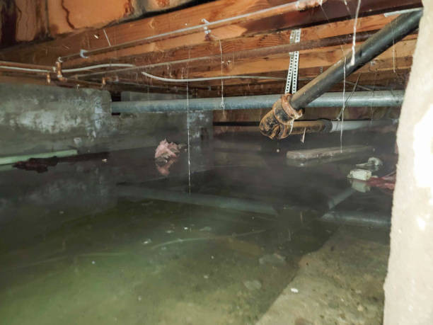  South Amherst, OH Water damage restoration Pros