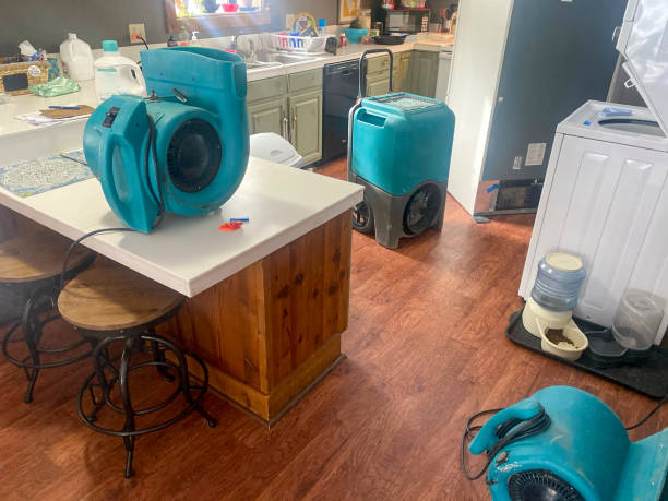 Best Flooded house restoration  in South Amherst, OH