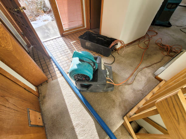 Best Carpet water damage restoration  in South Amherst, OH
