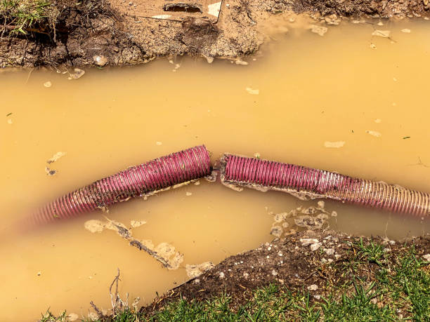 Best Water damage restoration near me  in South Amherst, OH