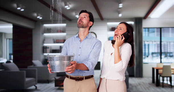 Best 24-hour water damage restoration  in South Amherst, OH