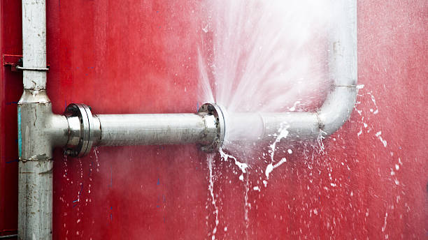 Best Water damage restoration specialists  in South Amherst, OH