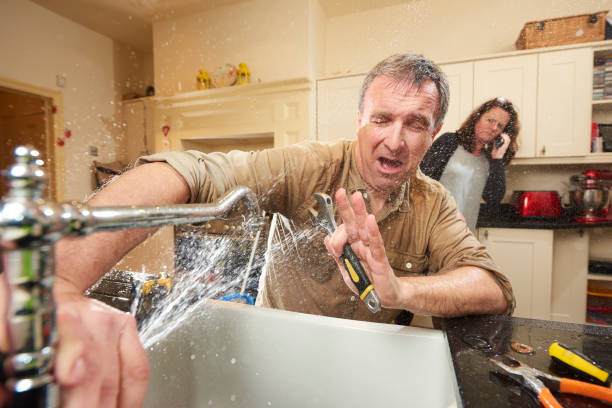 Best Mold removal after water damage  in South Amherst, OH